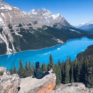 Meet your Posher, Annie